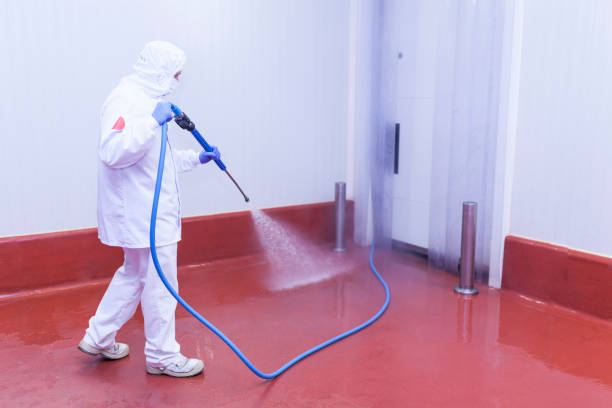 Best Building Exterior Washing  in Cohoe, AK