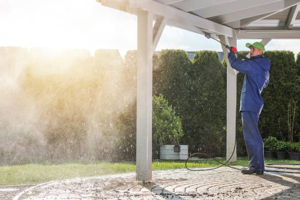 Best Animal Enclosure Cleaning  in Cohoe, AK