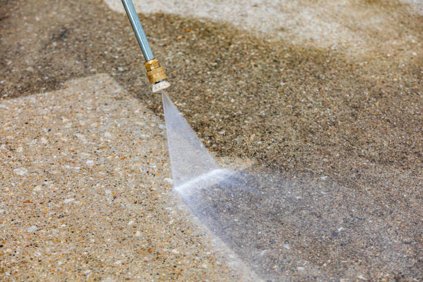 Best Pool Deck Cleaning  in Cohoe, AK
