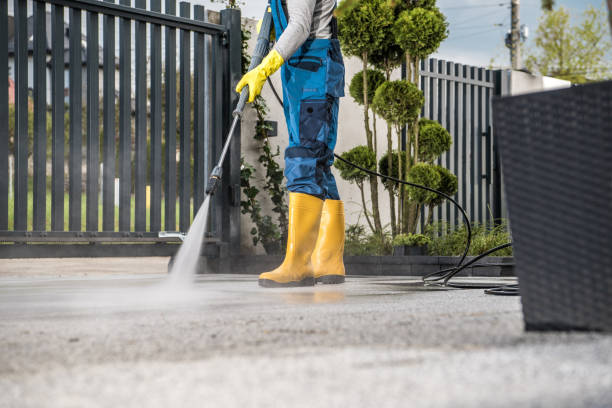 Best Patio and Deck Pressure Washing  in Cohoe, AK